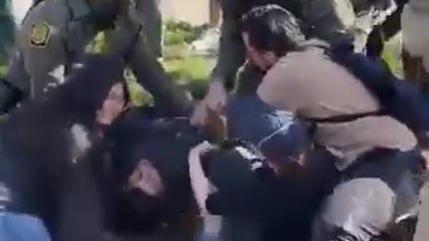 DHS had to detain several illegal aliens in Chicago and multiple bystanders were