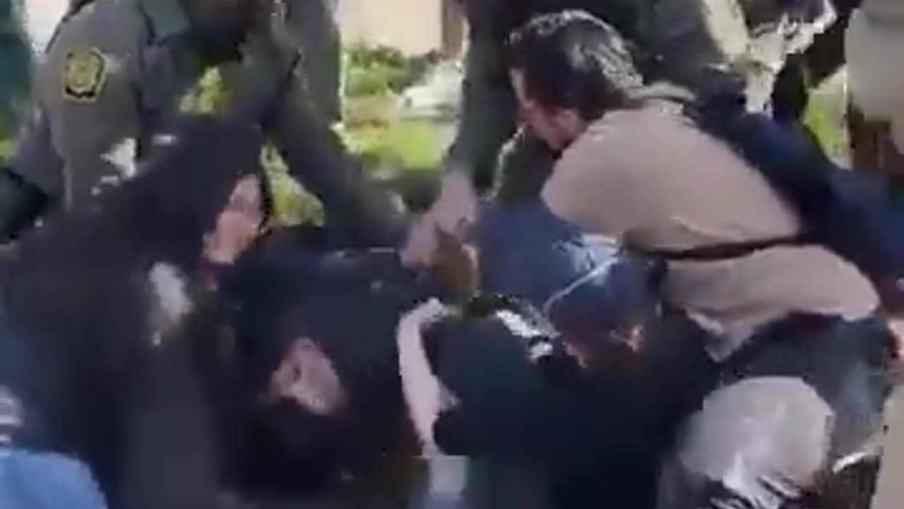 DHS had to detain several illegal aliens in Chicago and multiple bystanders were