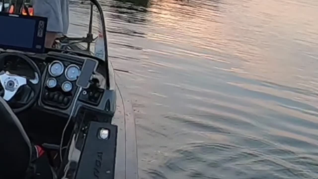 BIG CATFISH on Humminbird MEGA Live 2!