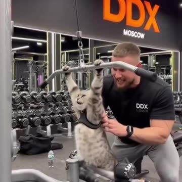 Ukraine Russia conflict /SMO/war combat footage 11/4/2025