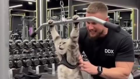 Ukraine Russia conflict /SMO/war combat footage 11/4/2025