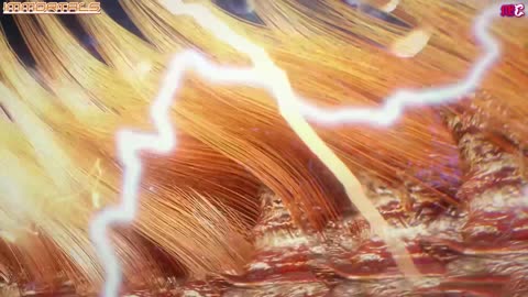 Wealth And Wonder - 21