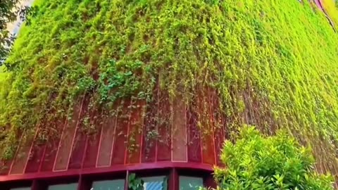 🌳🏙️ This Building in Singapore is Covered in 21 Species of Climbing Plants | FeedMyCuriosity