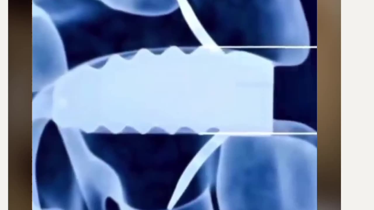 SCIENCE