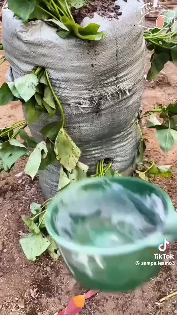 Brilliantly organic.