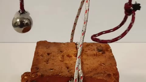 💡✨ A Clever Hack You'll Wish You Knew Sooner | LifeHacksDaily