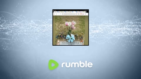 Blocked out of doing videos on Rumble here