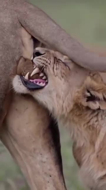 There's never a dull moment out here.