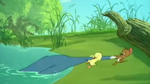 Tom & Jerry cartoon kids fun