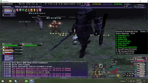 Playing Final Fantasy XI Online