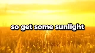 Health - What You Need For Your Health