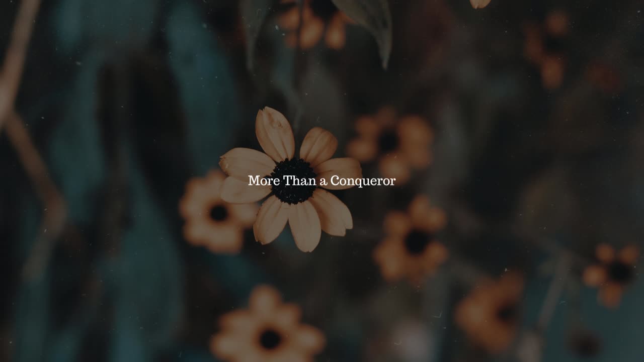 More Than a Conqueror
