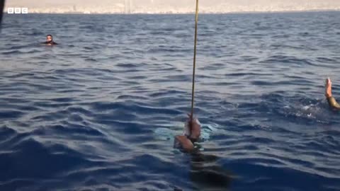 🧠✨ Freediver Breaks Record with 126m Breath-Hold Dive! | FeedMyCuriosity