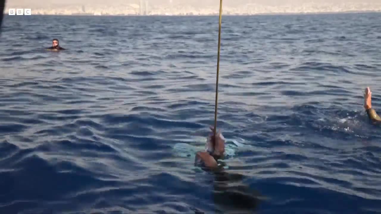 🧠✨ Freediver Breaks Record with 126m Breath-Hold Dive! | FeedMyCuriosity