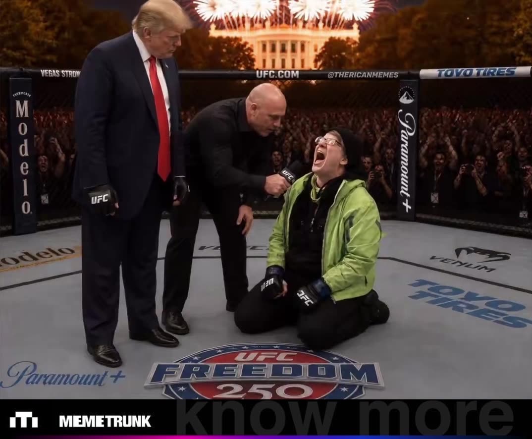 TDS UFC250