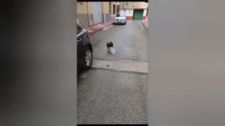 😂🏃‍♂️ This Landing is a Total Bottle Job! | FunFM