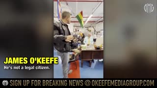 Illegal aliens being registered to vote so they could vote for Zohran Mamdani as Mayor of New York