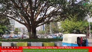 Oduu Waaree ONM-ABO Sadaasa 6-2025 itti dhiyaadhaa!