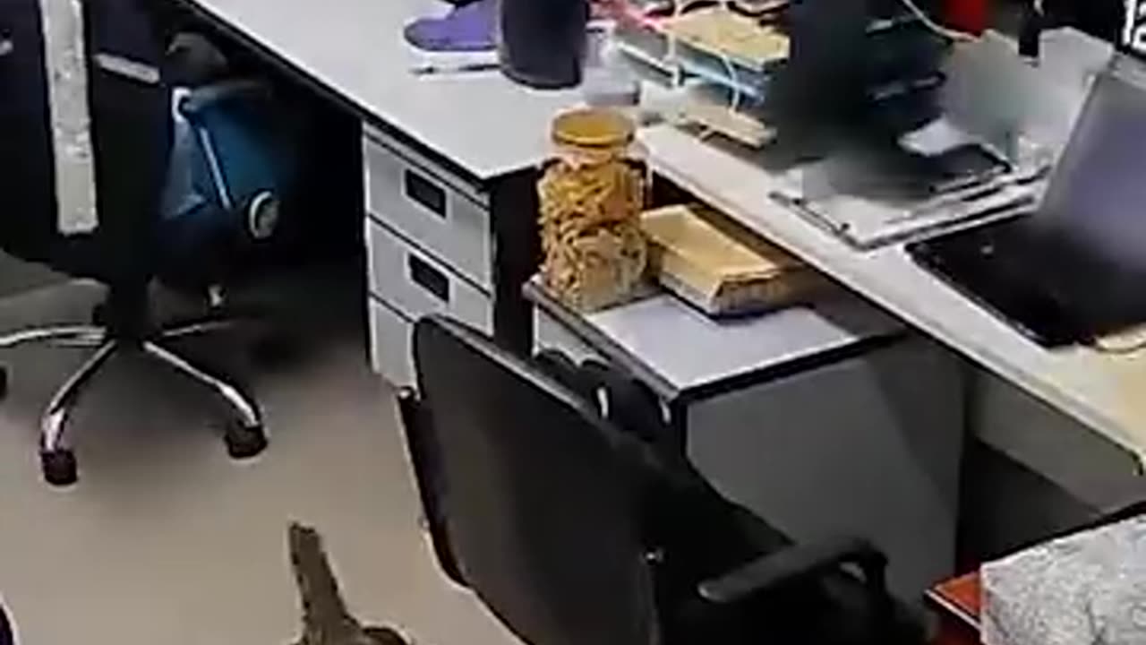 Funny & Smart Man Compilation 55 | Try Not To Laugh Viral Edition