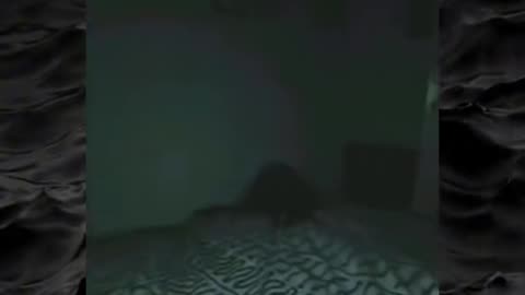 😨👻 You Won't Believe What They Caught on Camera! Paranormal | TheHauntingHour