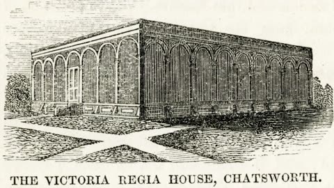 Distortion of history. Industrial fairs.Crystal palace. Questions