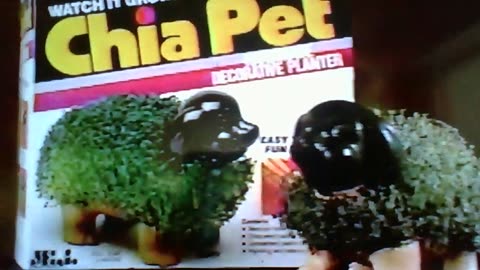 ADAMFOXSPORTNETWORKS