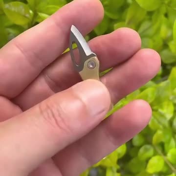 Tiny knife +mini knife folding knife easy cary knife #knife #miniknife #keychainknife