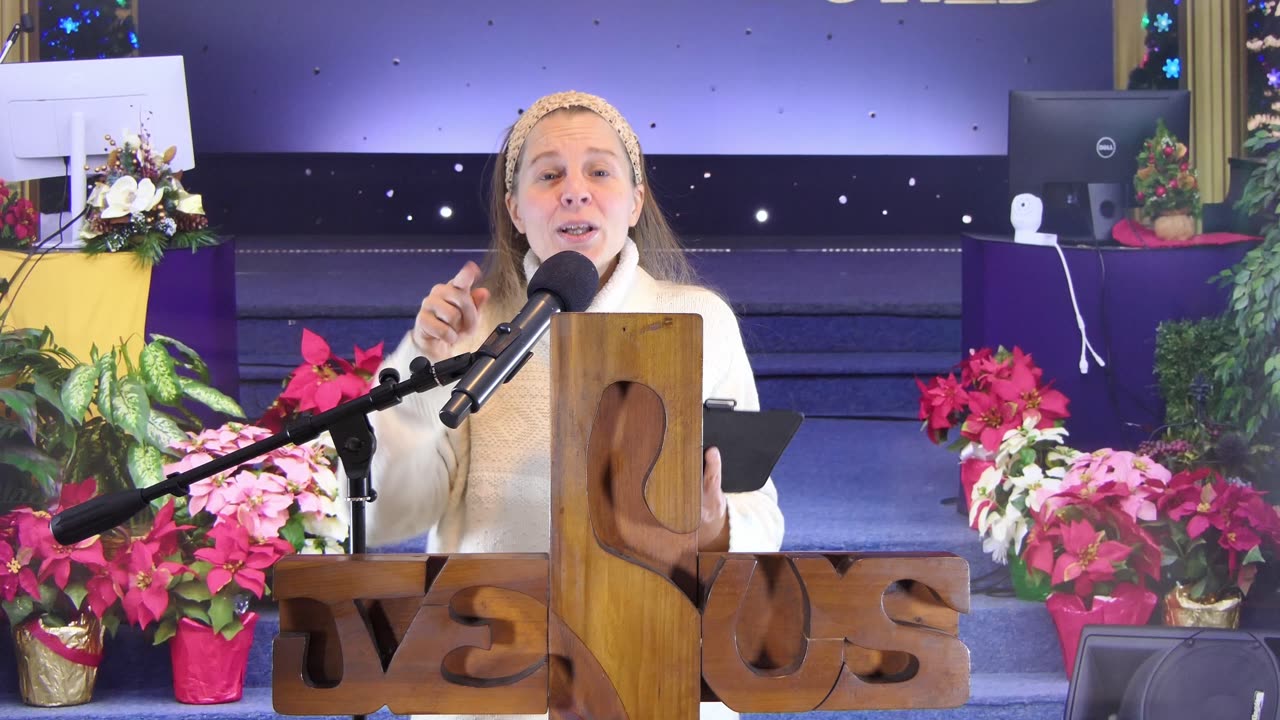 The Little Foxes by Stephanie J Yeager