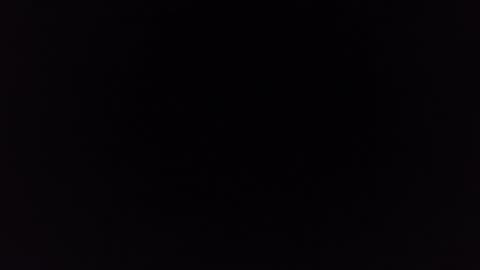 CITIZENS/AGENTS- SAME LIE BY USA AGENTS