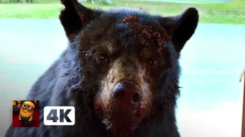 Cocaine Bear (2023) 4K - That's a F___in' Bear at the Door _ Movieclips