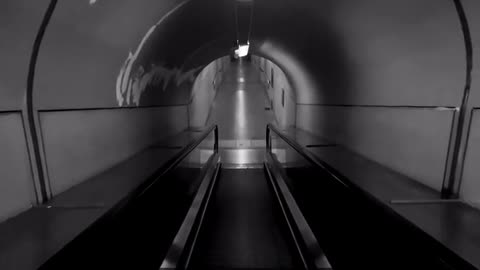 Daily Horoscope | Libra 🌟