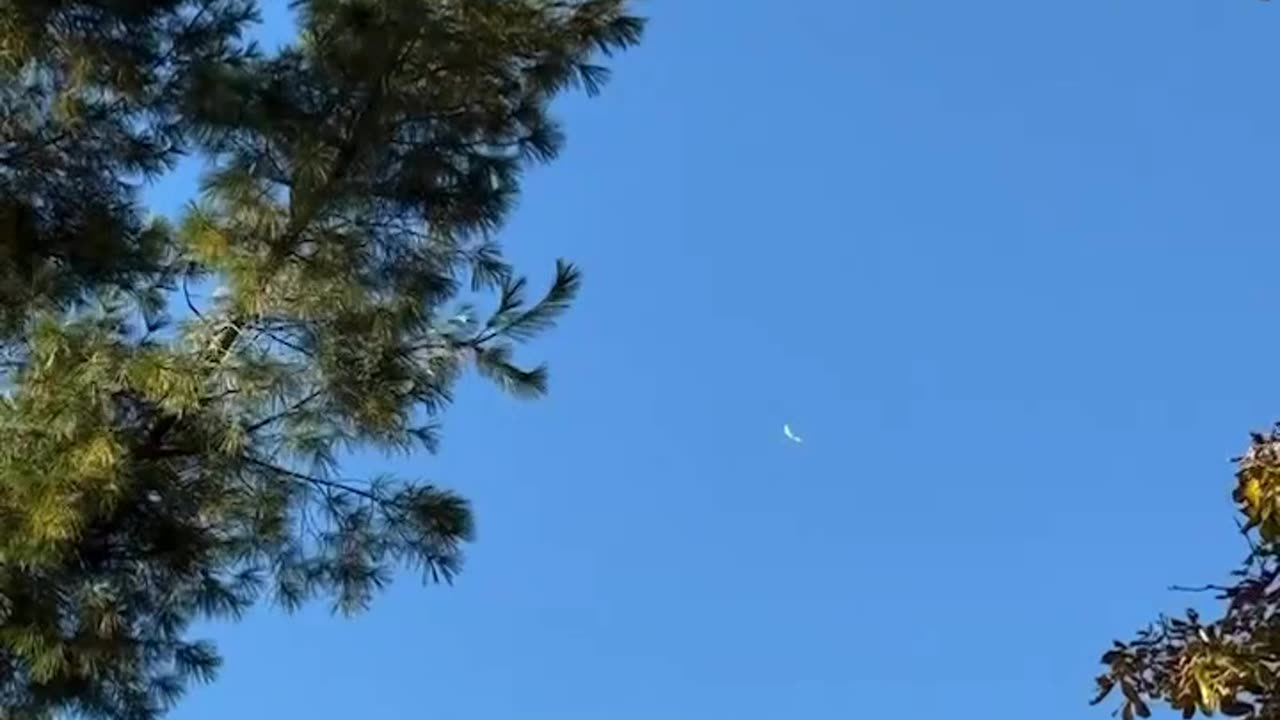 Video shows moments plane crashes in Bath Township