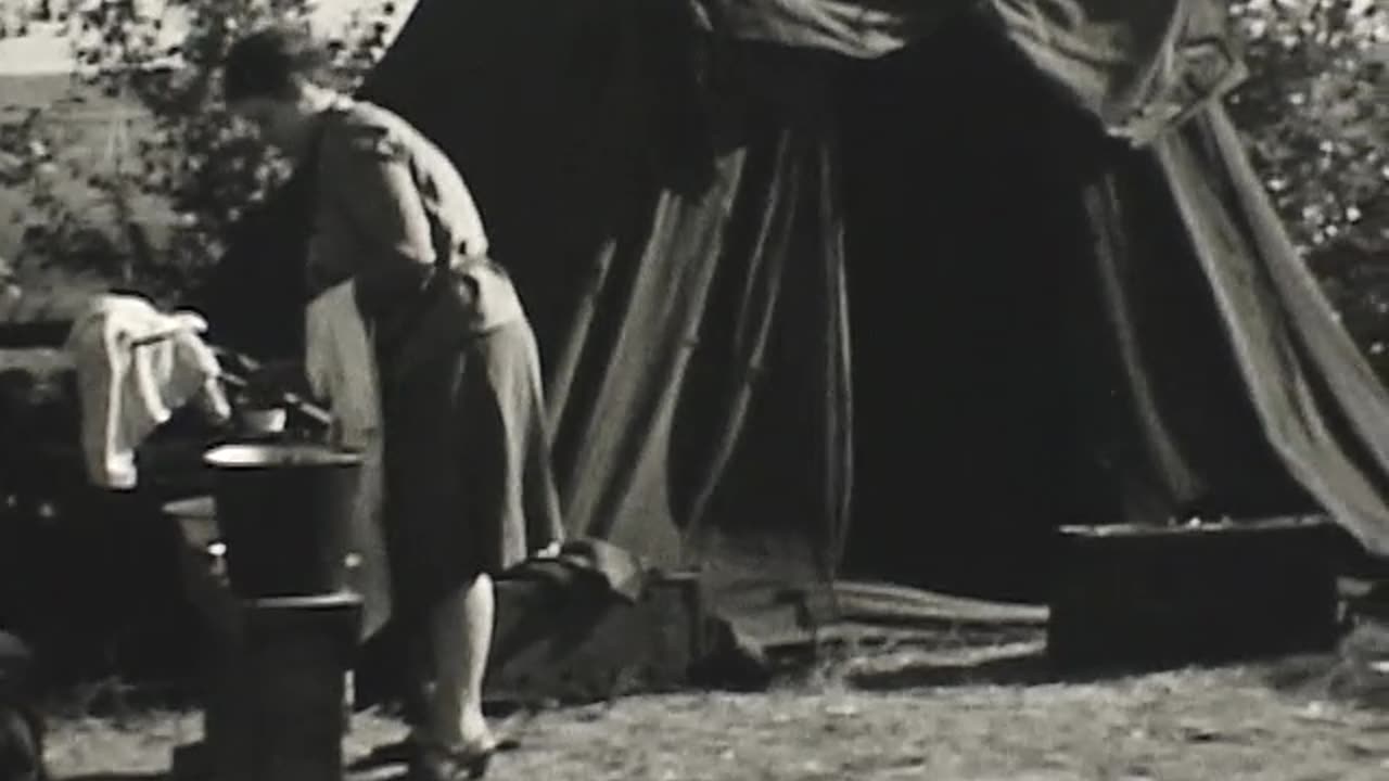 Unidentified Family Home Movies: Yellowstone Park #2 (July 1929)