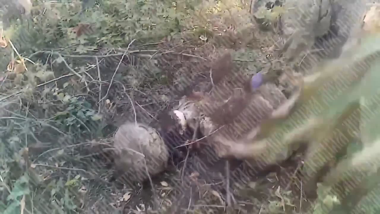 ☠️🇲🇩34591 Mummified Moldovan