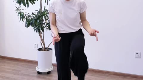 1303.三招开髋胯