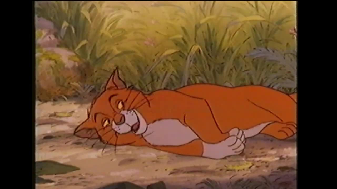 Opening And Closing to The Lion King UK VHS (1994)