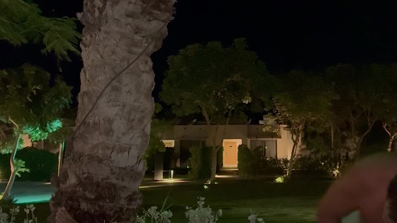 Laughing Couple Fall Like Coconuts