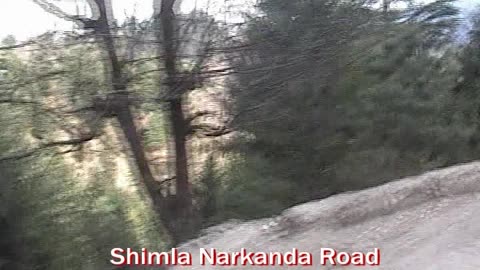 Shimla to Narkanda Road Journey | A Scenic Himalayan Bus Ride