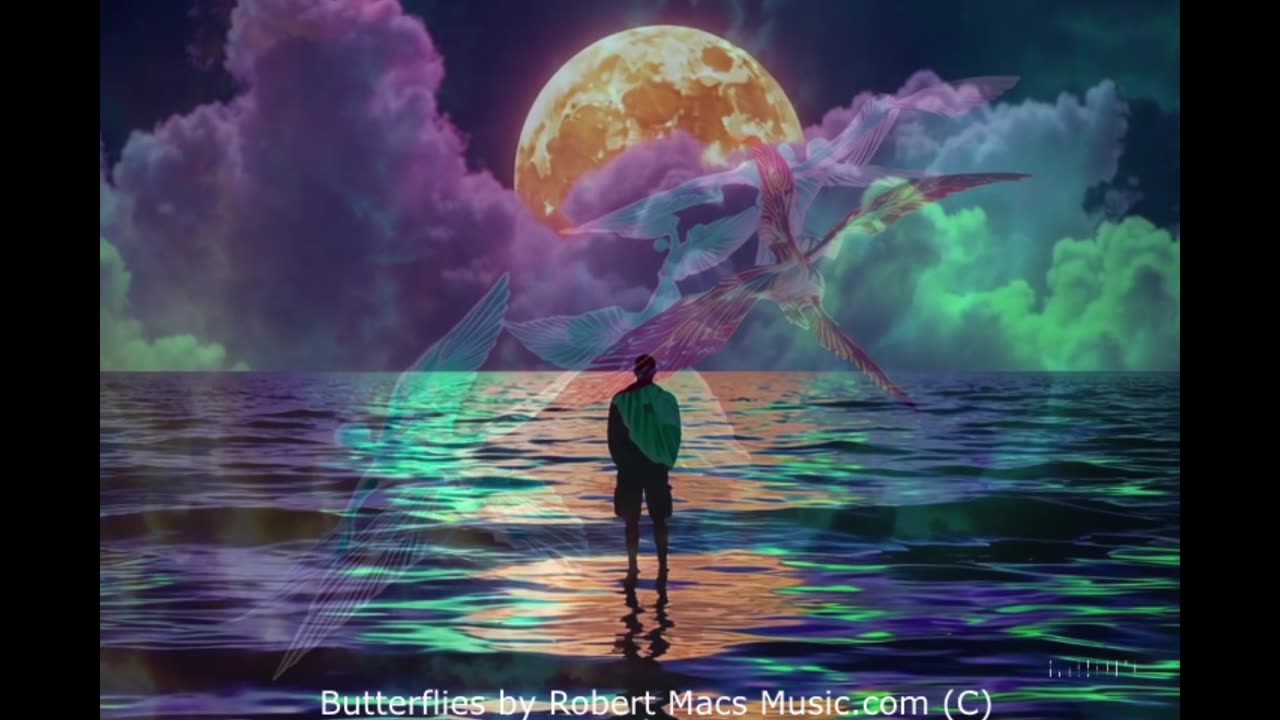 Butterflies