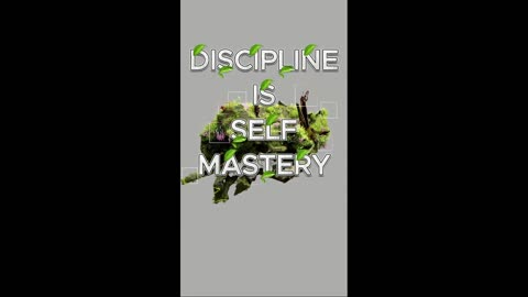 🧠 Discipline Is The Foundation Of Self-Mastery 🧱