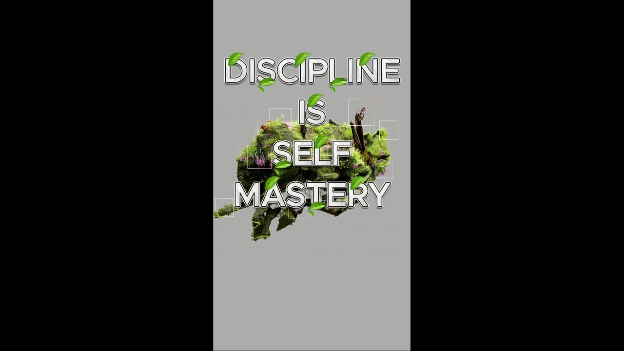 🧠 Discipline Is The Foundation Of Self-Mastery 🧱