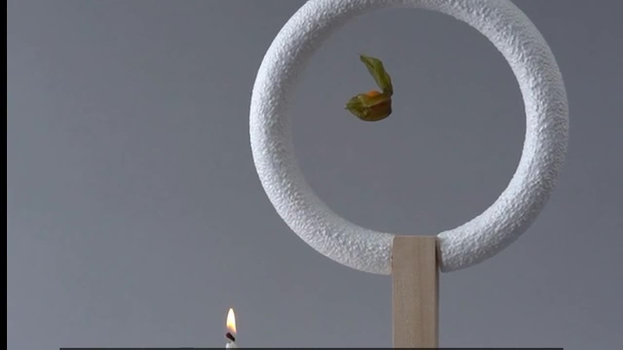 Daily Horoscope | Libra 🌟