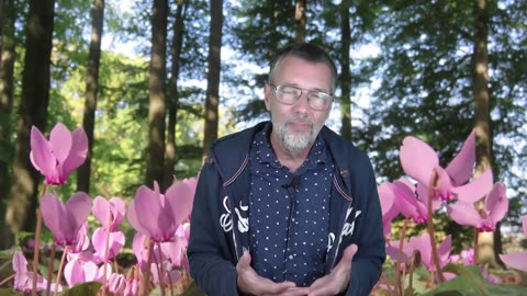 Durf je angsten liefdevol onder ogen te zien voor vrijheid en geestelijke groei