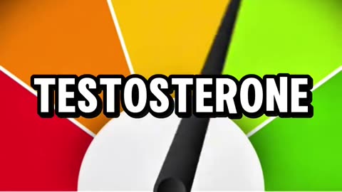 best natural food for testosterone