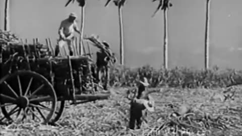 HARVEST OF THE YEARS - HARVEST OF THE YEARS - fc-fc-1107