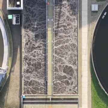 📢 Microplastiche nella nostra dieta: un rischio per la salute? 🌍🍽️