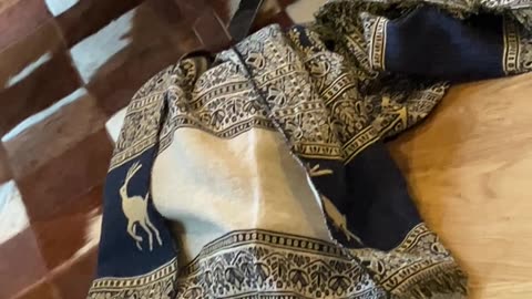 Seller Throws Merch Through Cruise Ship Window