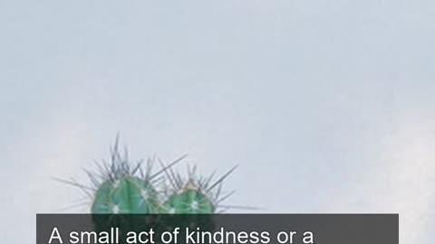 Daily Horoscope | Virgo 🌟