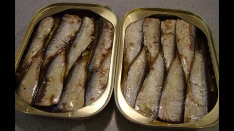Not My Catch: Rethinking Sardines in Wellness