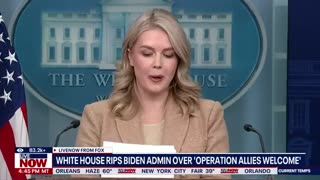 Trump Orders Review of 100,000 Afghan Entrants After Security Failures